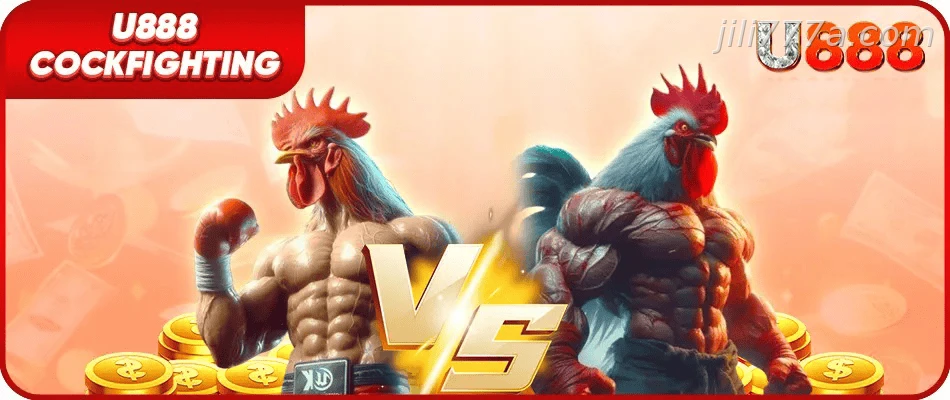 JILI777 cockfighting banner hp